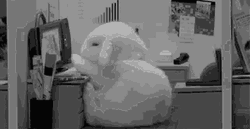 Cute Goodnight Office Bunny GIF