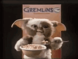 Cute Gremlins Cereal Gizmo  GIF