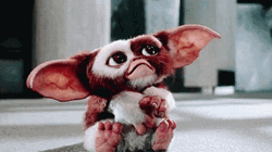 Cute Gremlins Confused Blink GIF