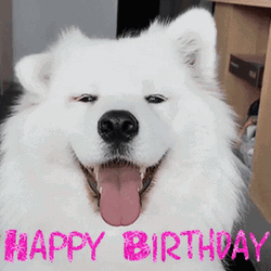 Cute Happy Birthday Dog Moving Ears