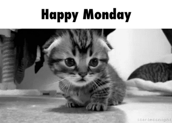 Cute Happy Monday Cute Drowsy Kitten GIF