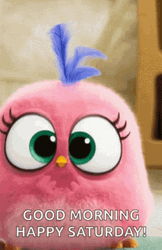 Cute Happy Saturday Angry Bird GIF