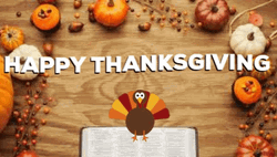 Cute Happy Thanksgiving Beautiful Turkey  GIF