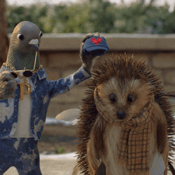 Cute Happy Thanksgiving John Lewis  GIF