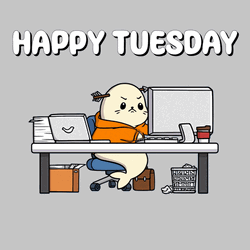 Cute Happy Tuesday Busy Seal Working GIF