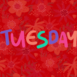 Cute Happy Tuesday Hippie Floral Design GIF