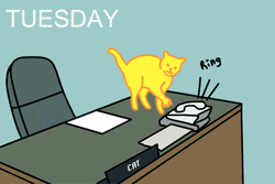 Cute Happy Tuesday Naughty Yellow Cat GIF