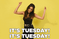 Cute Happy Tuesday Spin Dance GIF