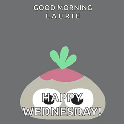 Cute Happy Wednesday Laurie GIF