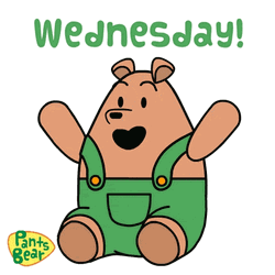 Cute Happy Wednesday Pants Bear GIF