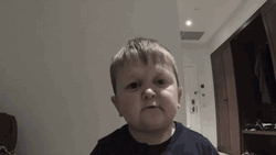 Cute Hasbulla Spit GIF