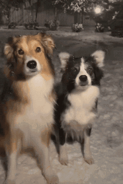 Cute Hugs GIF
