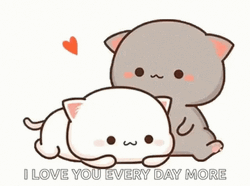 Cute I Love You Everyday More GIF