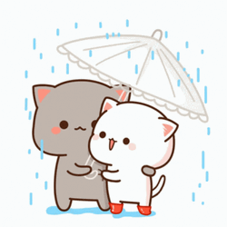 Cute Kawaii Cats Under An Umbrella GIF