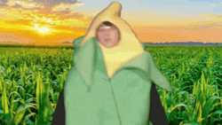 Cute Kid In Corn Suit Dancing GIF