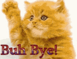 Cute Kitten Buh Bye Mobile Art GIF