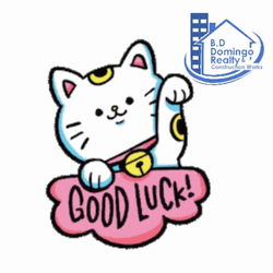 Cute Kitten Good Luck GIF