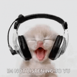 Cute Kitten Headphones Not Listening GIF