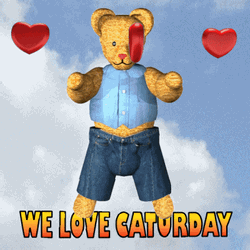  Cute Kitten In Bear Pocket Graphic Design GIF