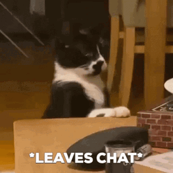 Cute Kitten Leaves Chat
