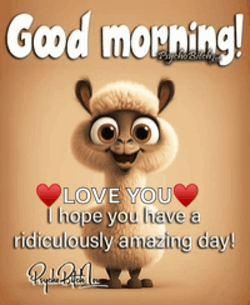 Cute Lamb Have A Good Day Love GIF