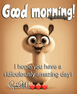 Cute Lamb Hope You Have Wonderful Day GIF