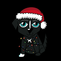 Cute Little Hat Christmas Dog GIF