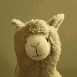 Cute Llama Partying GIF