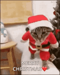 Cute Merry Christmas Wishes Cat Claus GIF