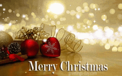 Cute Merry Christmas Wishes Sparkling GIF