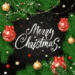 Cute Merry Christmas Wishes Sparkly Season GIF