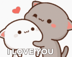 Cute Mocha And Milk Cuddle I Love You GIF