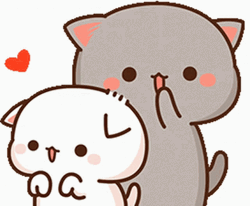 Cute Mochi Cat Grooming GIF