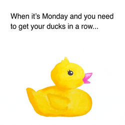 Cute Monday Duckie GIF