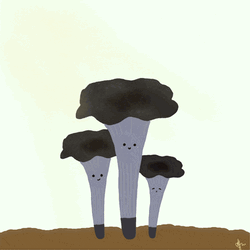 Cute Mushroom Family