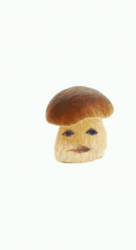 Cute Mushroom Lip Sync GIF