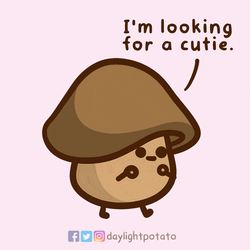 Cute Mushroom Looking For A Cutie