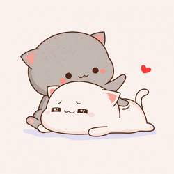 Cute Nalgadas Cat Massage And Cuddle GIF