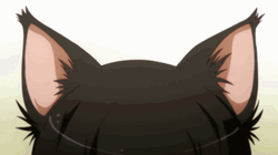 Cute Neko Ears GIF