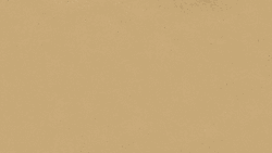 Cute Orca Drawing GIF