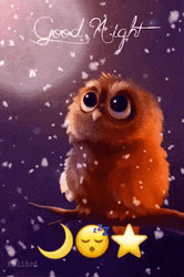 https://gifdb.com/images/thumbnail/cute-owl-good-night-9sh6xp0hljhfdll5.gif