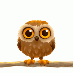 Cute Owl Have A Wonderful Day GIF