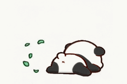 Cute Panda Fart