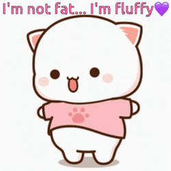 Cute Peachy Cat Not Fat I'm Fluffy GIF