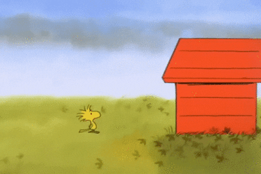 Cute Peanuts Snoopy Thanksgiving GIF