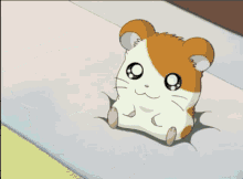 Cute Pet Hamster Hamtaro Reflection Glass GIF