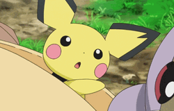 Cute Pichu Swallows Blueberry GIF