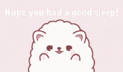 Cute Pomeranian Hope You Sleep Well GIF