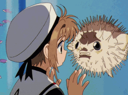 Cute Pufferfish Anime Kiss GIF