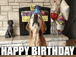Cute Puppy Barking Happy Birthday GIF